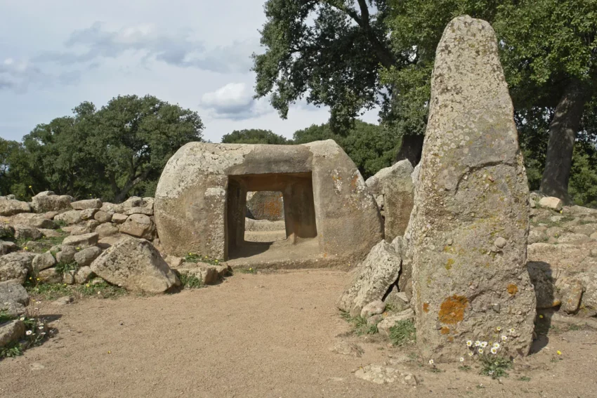 Necropolis of Pranu Muttedu 10